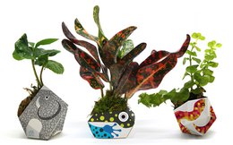 3 OriBon - Rainforest animals collection