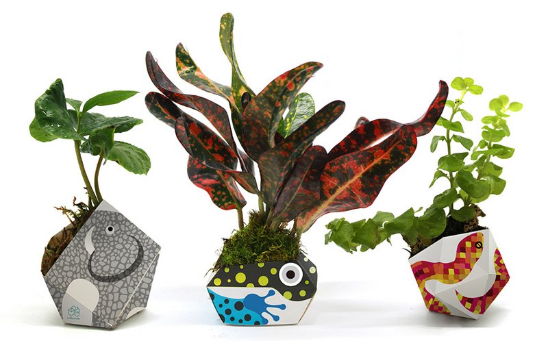 3 OriBon - Colección de animales de la selva tropical