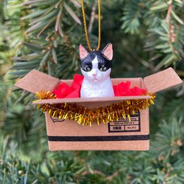 Ornement de Noël chat fait à la main noir et blanc dans une mini boîte