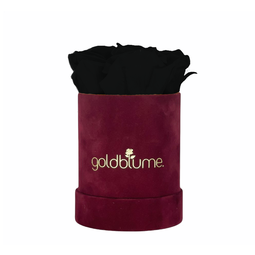 Collection Velours Bordeaux