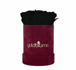 Velvet Bordeaux Collection