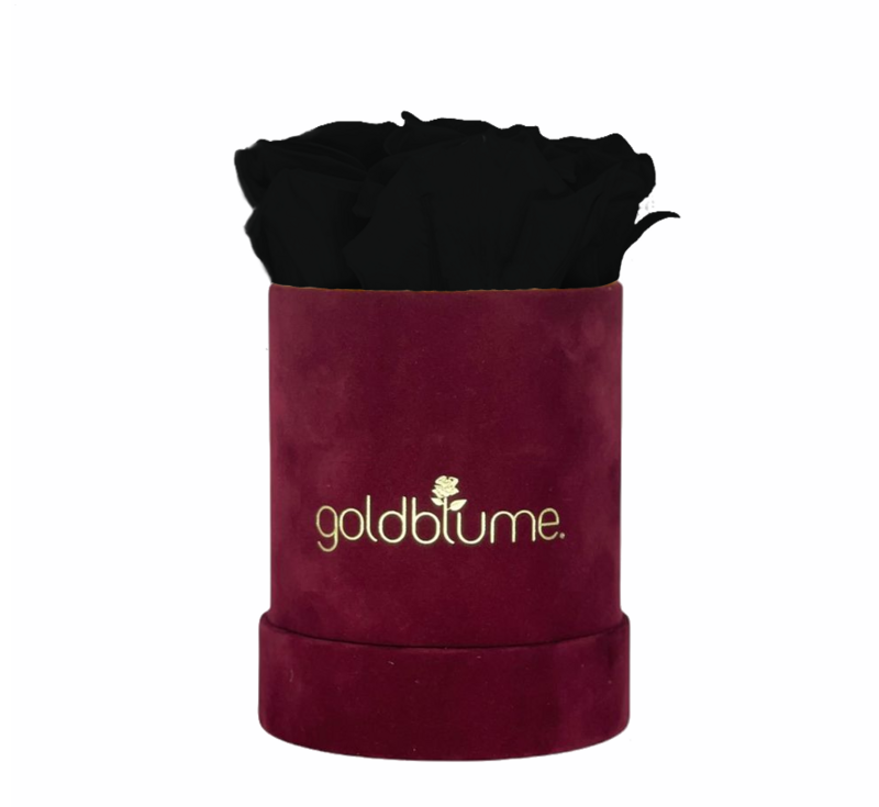 Velvet Bordeaux Collection