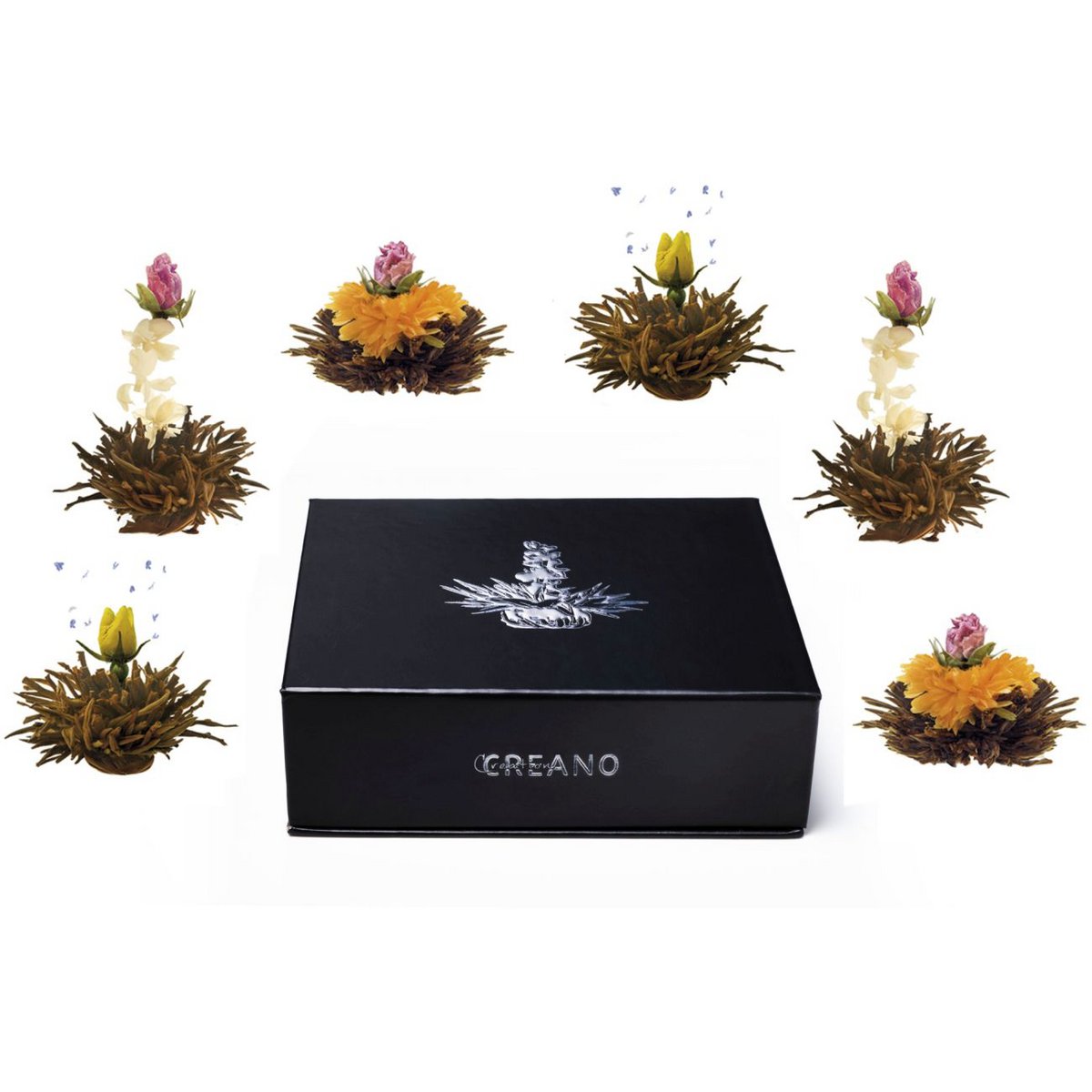 Magnetic box of 6 blooming tea black tea