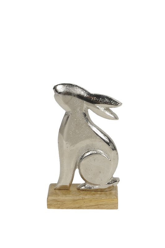 Hase