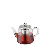 Borosilicaatglas theepot met theefilter 250 ml