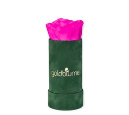 Velvet Green Collection