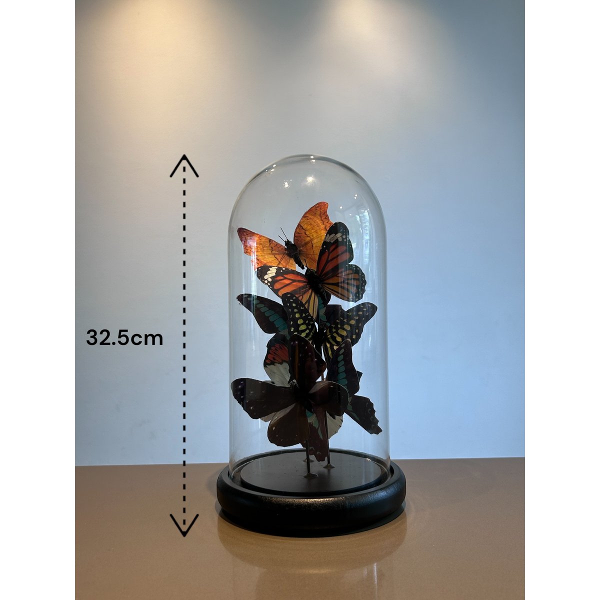 Cinque cilindri 11 * 32,5 cm （YF-09）