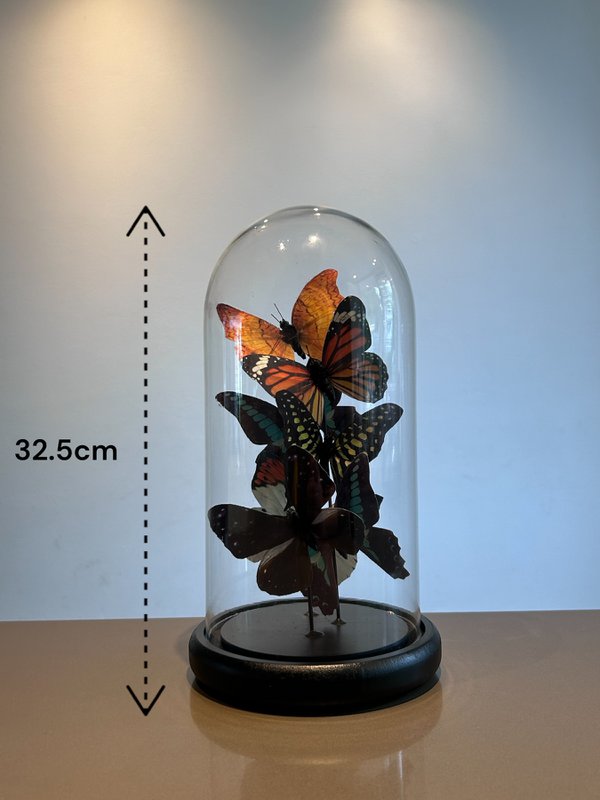 Five vlinder 11 * 32.5cm （YF-09）