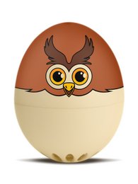 Owl Beeping Egg / Intelligent Egg Timer
