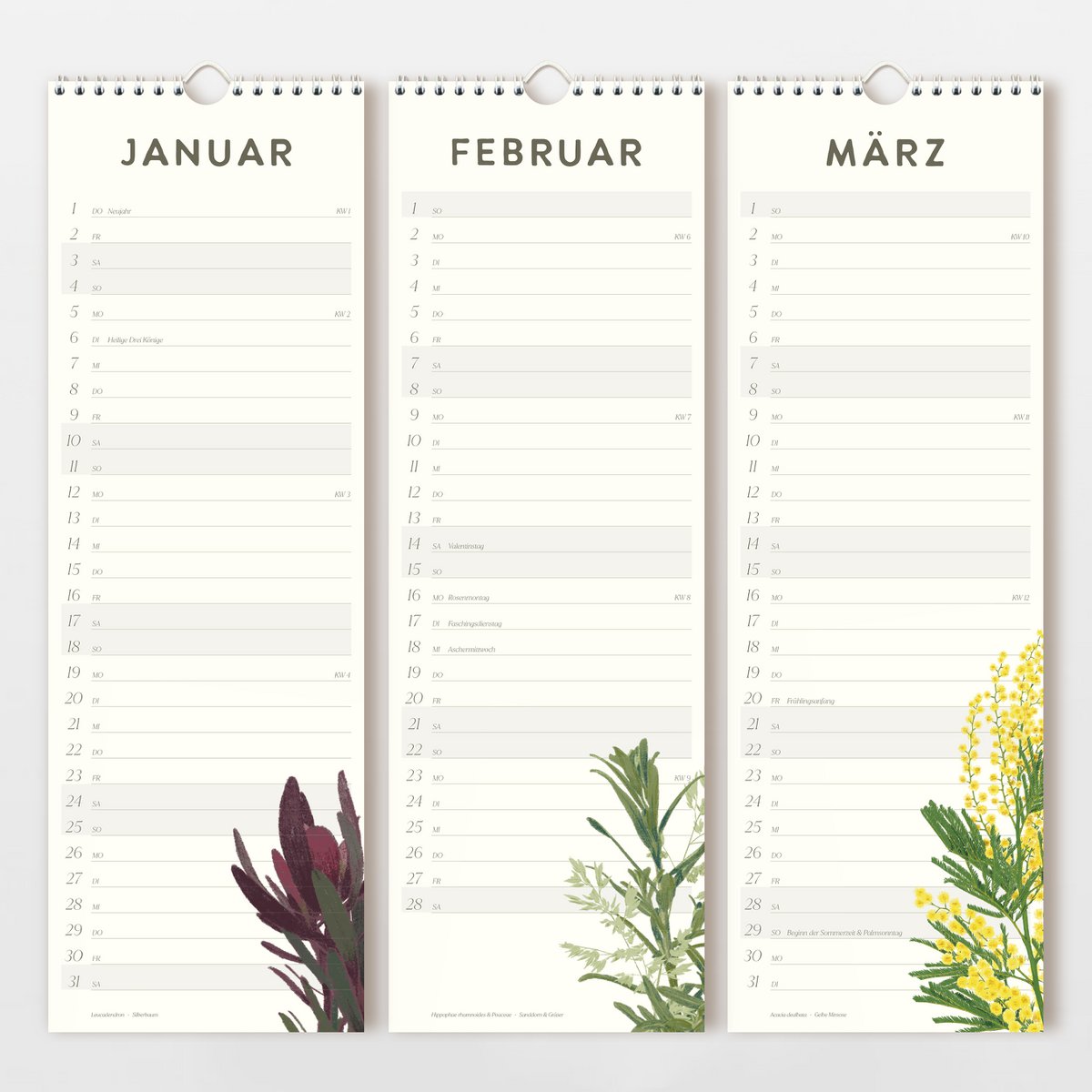 Wandkalender 2026 mit handgezeichneten Blumen, FSC