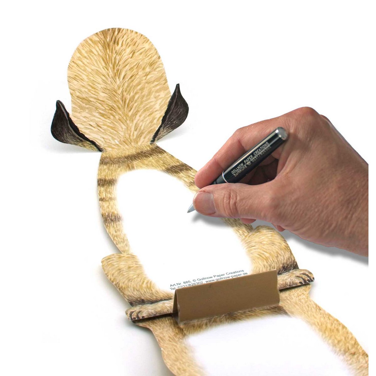 3D animal map pug
