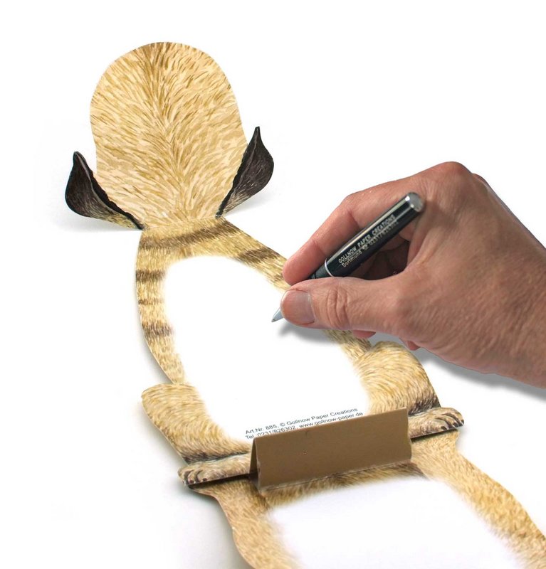 3D animal map pug