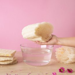 Raw Loofah | Durable sponge