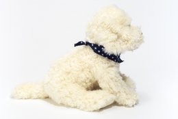 Labradoodle zittend 28 cm - knuffel - knuffel