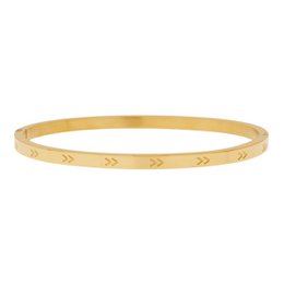 BANGLE V