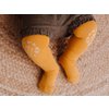Baby Crawling tights "Zoo adventure"