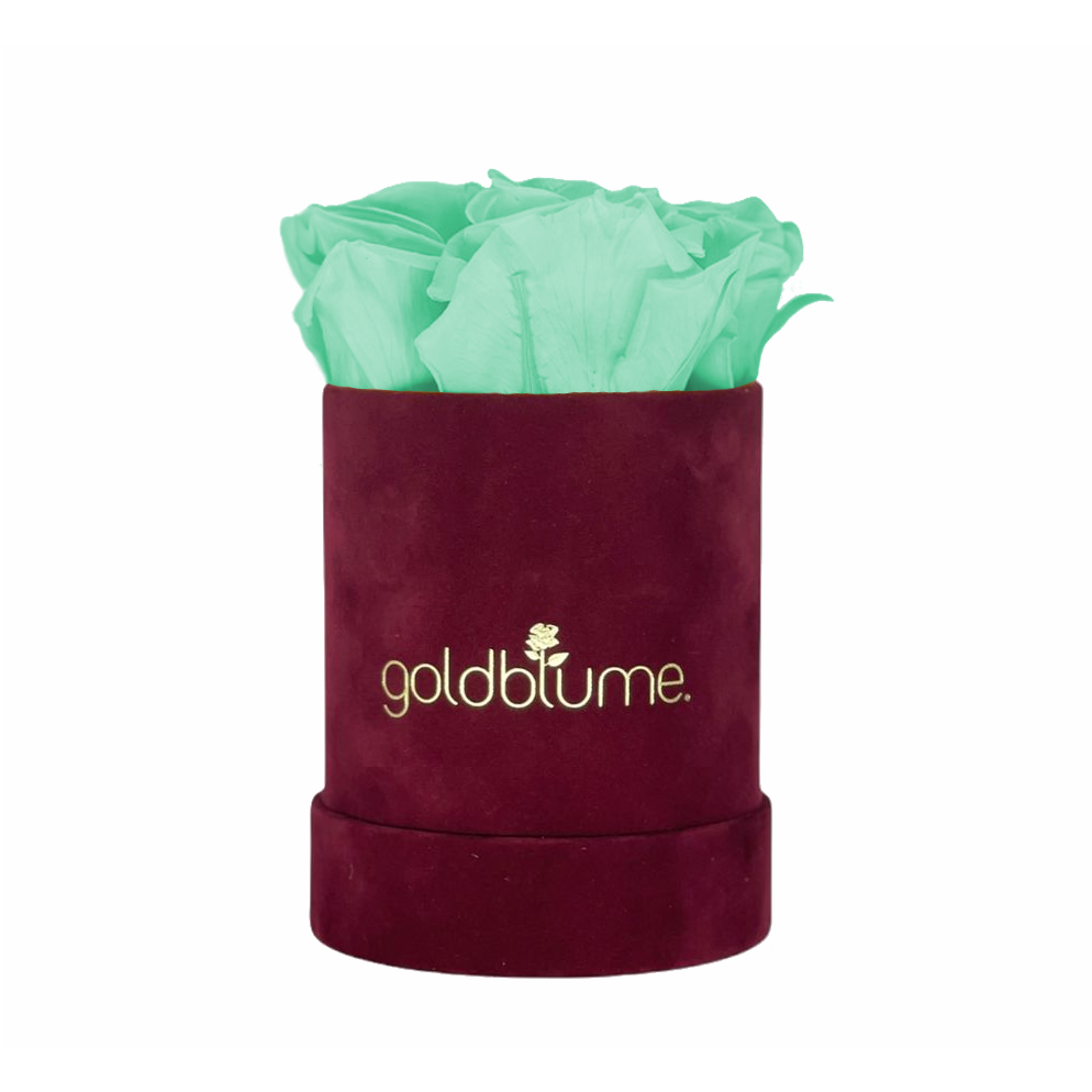 Collection Velours Bordeaux