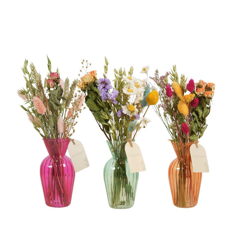 Trockenblumen in der Flasche – Pastell – Sommer-Bestseller