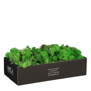 Decorative moss Mossy Green