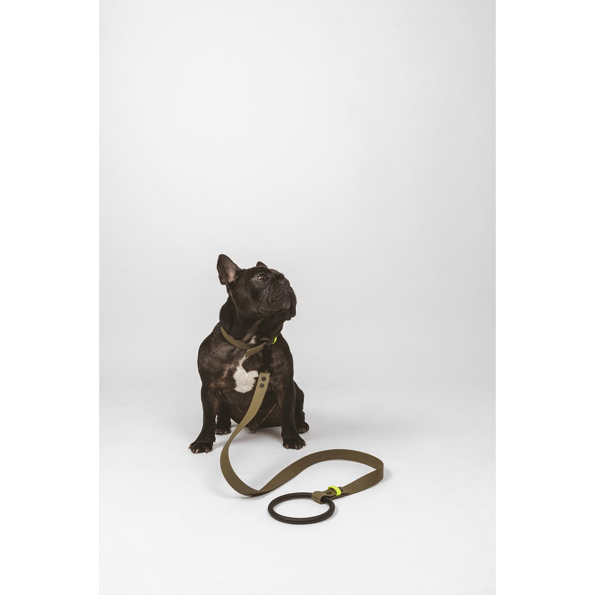 Flotta L01