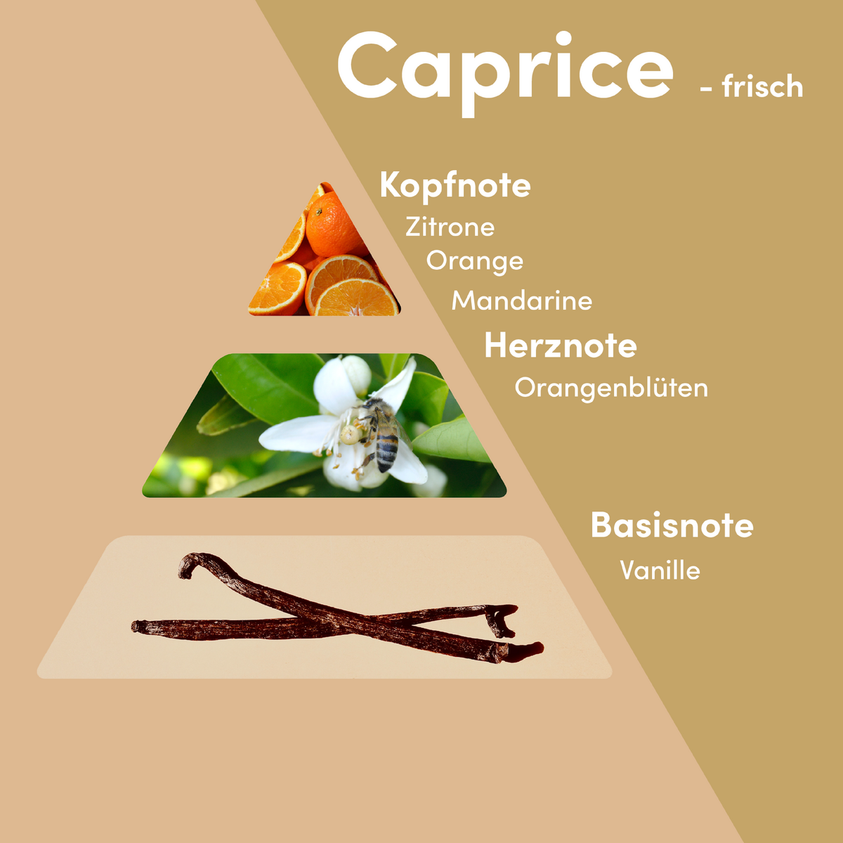 Caprice - MONODOR 200 ml Raumduft