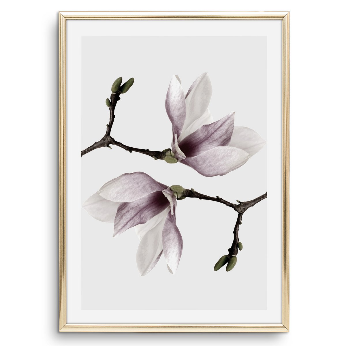 Poster: Magnolia Twins
