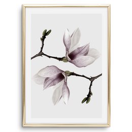Poster: Magnolia Twins
