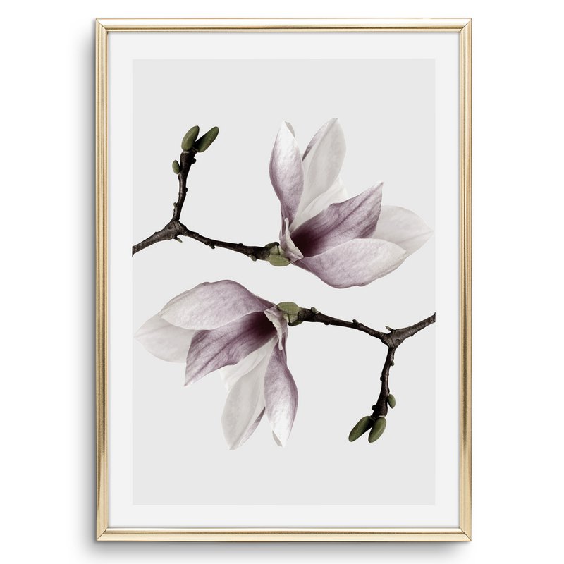 Poster: Magnolia Twins