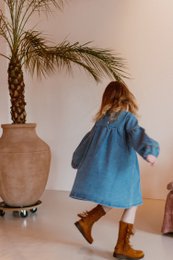 Marina Denim Dress