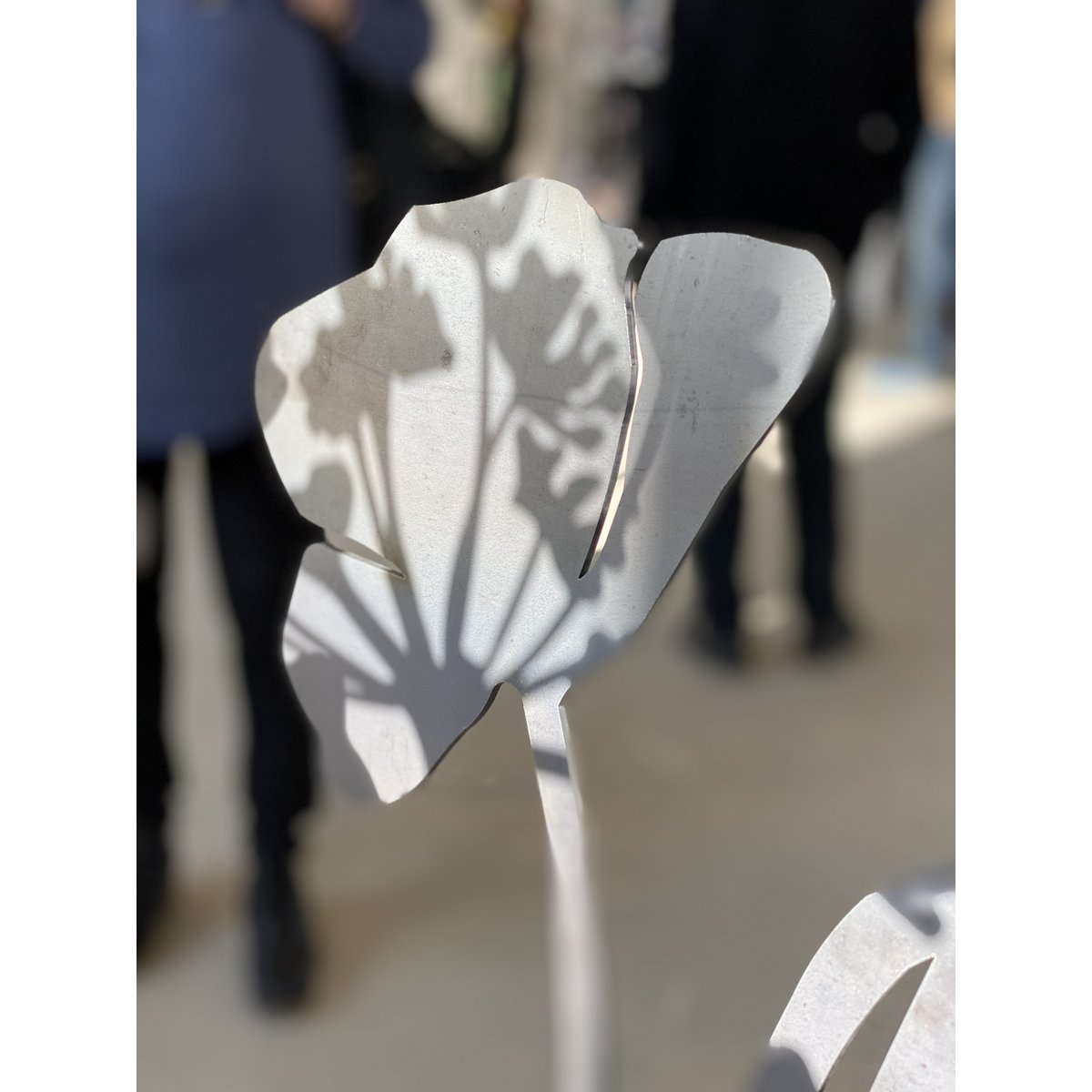 Poppy with flower bud | corten stem