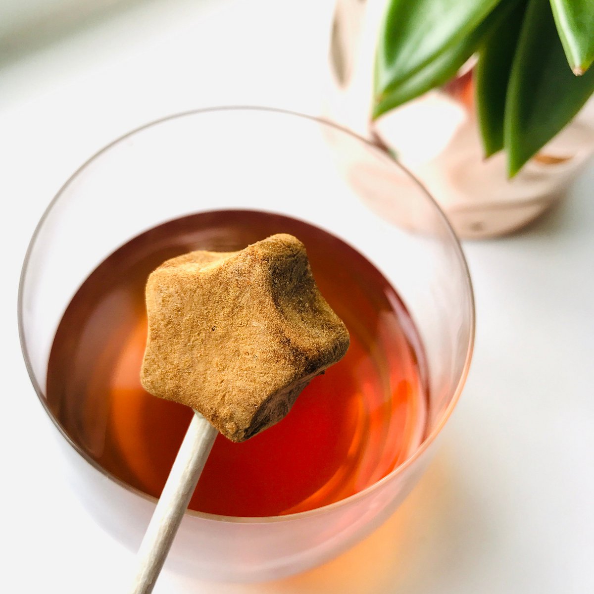 TEA-POP Tea-On-A-Stick | Caramel | 20 Sticks Display Tray