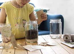 CULTIVEA® Organic* Aromatische kruidenset voor binnen – Dille, salie en citroenbasilicum om te kweken – Mini moestuin voor binnen met glazen potten – Kit voor aromatische planten – Cadeau-idee
