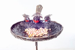 METAL ROBIN LARGE BOWL BIRDFEEDER ON STICK