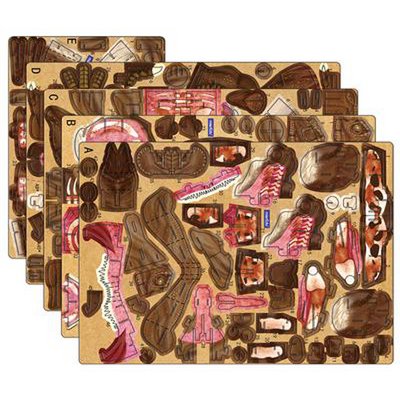 MierEdu - Movable 3D Puzzle - T-Rex