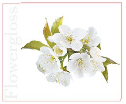 Flowergloss FG07 Cherry Blossom | made from fruit and vegetables 💚 Vegan without titanium dioxide “NEW”