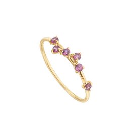 Forgyldt granat rhodolit ring