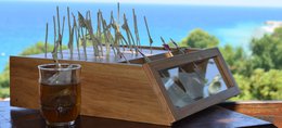 MΩLY "Harmony" – HoReCa Herbal Tea with Natural Herbal Stem