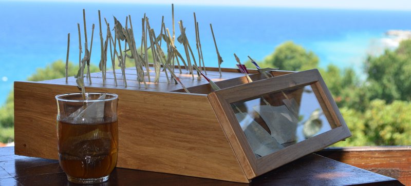MΩLY "Harmony" – HoReCa Herbal Tea with Natural Herbal Stem