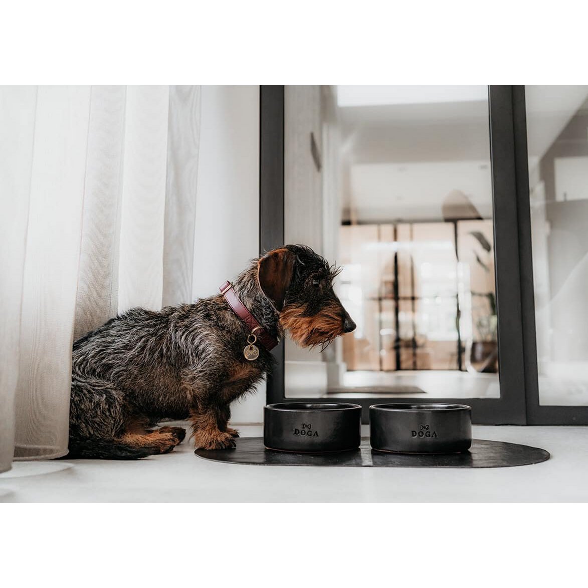 Tazón de comida para perros Etna negro
