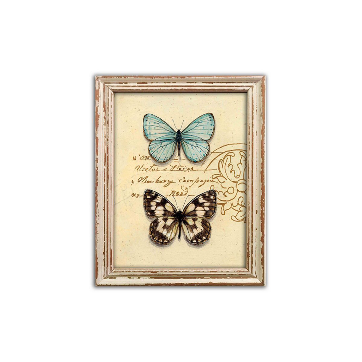 Quadro in legno Farfalla 39x48 cm Isabelle Rose
