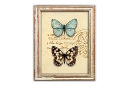 Quadro in legno Farfalla 39x48 cm Isabelle Rose
