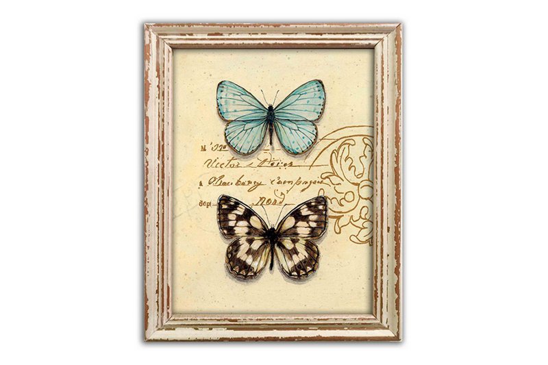 Quadro in legno Farfalla 39x48 cm Isabelle Rose