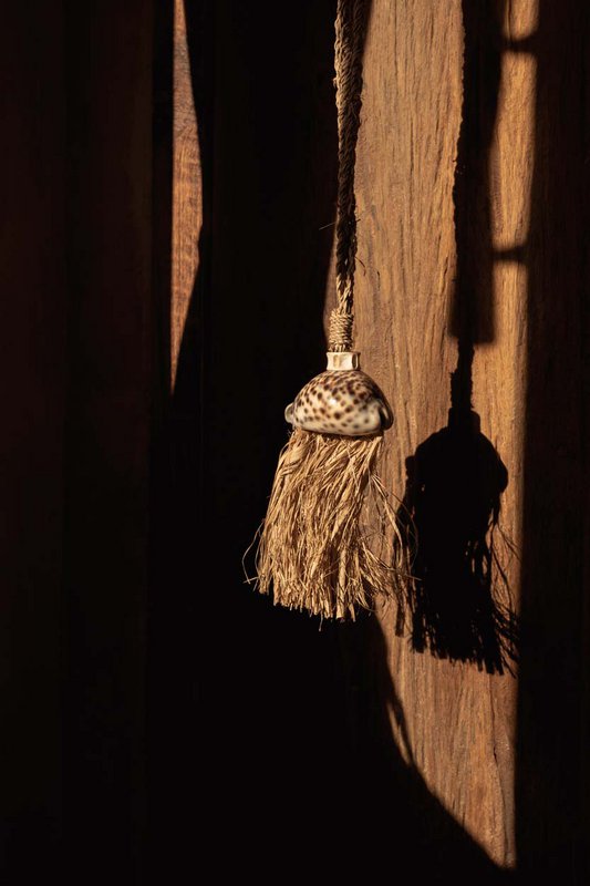 Die Bast-Lupina-Quaste – Natur