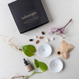 Deluxe gaveæske – spiring og formering i vand