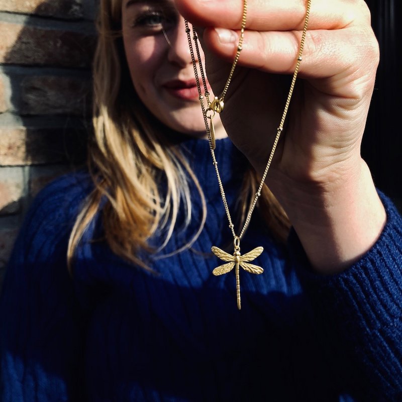 Hi Dragonfly necklace