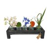 tray black berlin glass hold narrow 50