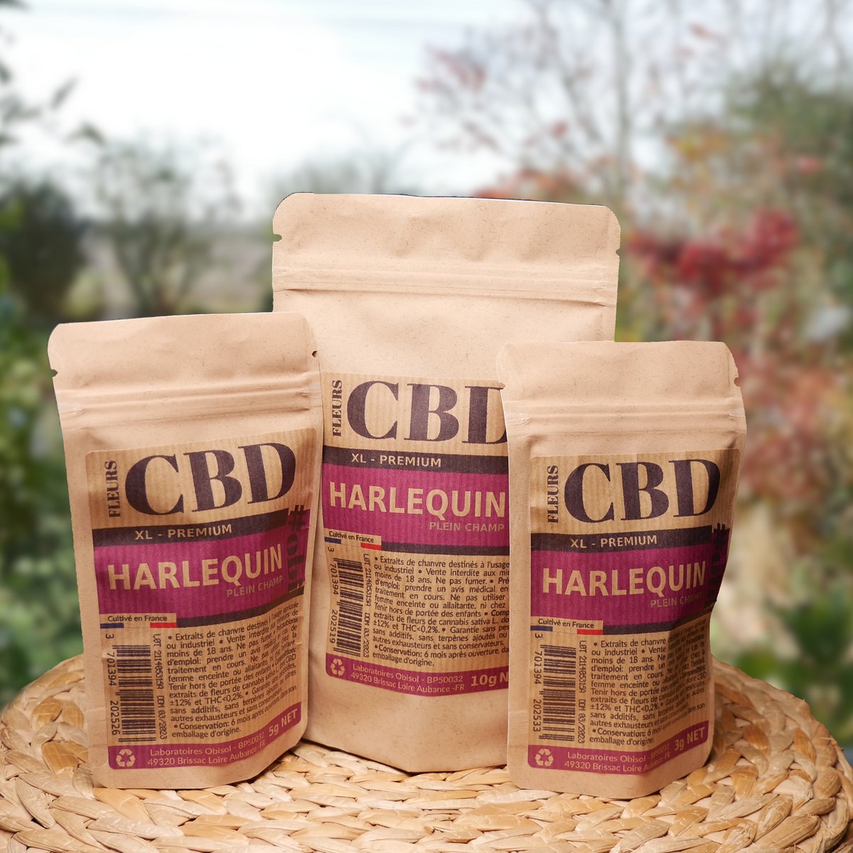 Fiori di CBD Harlequin XL
