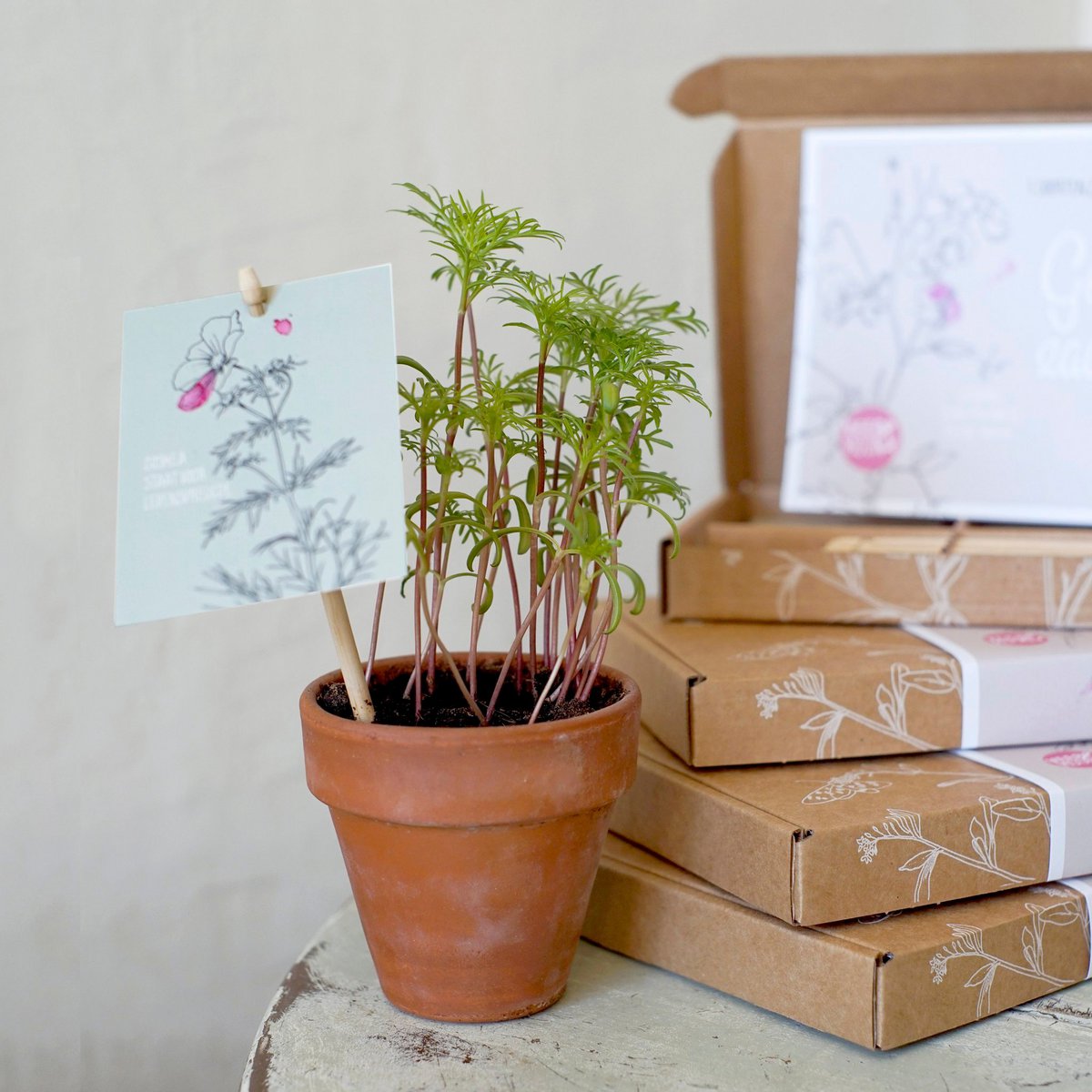 Cadeaudoosje Geluk zaaien