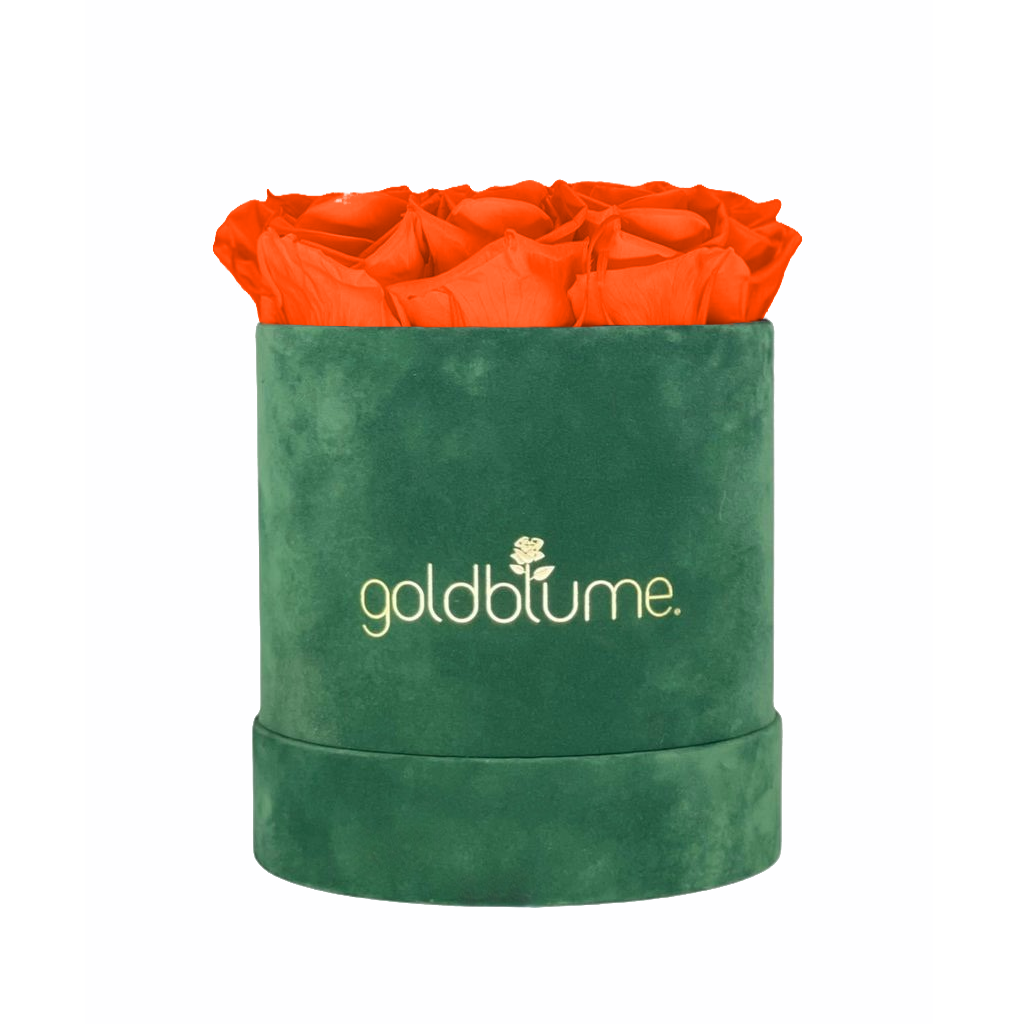 Velvet Green Collection