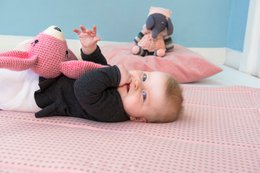 Playpencloth Speelkleed2GO Pink Blossom